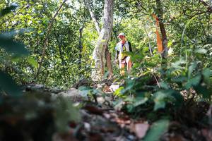 BIB: 
                            <button type="button" onclick="openModal(27703673)" class="btn btn-primary btn-sm float-right btn-popup" data-toggle="modal" data-target=".modal-high-quality">
                        <i class="fas fa-shopping-cart"></i> Add to Cart
                    </button>
                                            <button type="button" onclick="isThisMe(27703673, true)" class="btn btn-success btn-sm float-right btn-popup btn-isme hidden" data-toggle="tooltip" data-placement="bottom" title="นี่คือรูปของคุณใช่ไหม คลิกที่นี่เพื่อเอาเข้าอัลบั้ม">
                        <i class="fas fa-plus"></i> Add to album
                    </button>
                    <button type="button" onclick="isThisMe(27703673, false)" class="btn btn-warning btn-sm float-right btn-popup btn-isnotme hidden">
                        <i class="fas fa-ban"></i> Remove from album
                    </button>